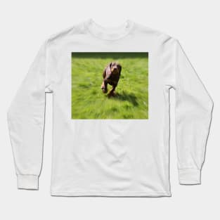 Did I Won? Long Sleeve T-Shirt